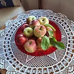 Stara Szkoła