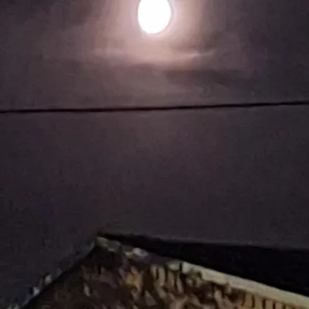 Daire Stara Szkola *